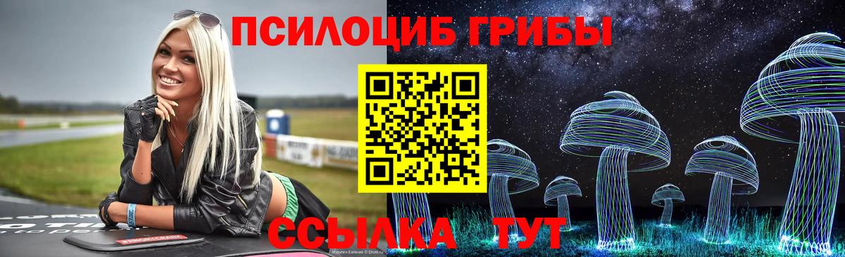 Галлюциногенные грибы MAGIC MUSHROOMS Саранск