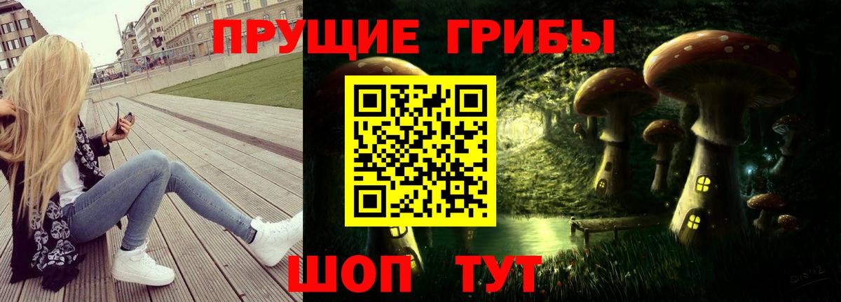 Псилоцибиновые грибы MAGIC MUSHROOMS  Вход с VPN  Галлюциногенные грибы Cubensis  цены наркотик  Саранск 